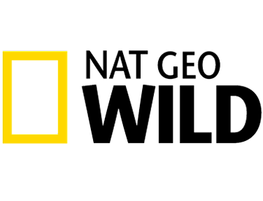 streaming logo