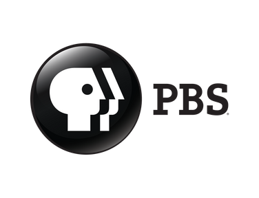 streaming logo