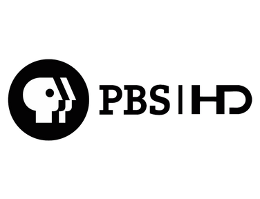 streaming logo
