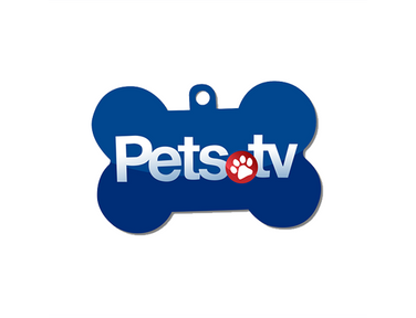 streaming logo